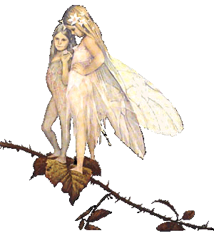woodland fairies